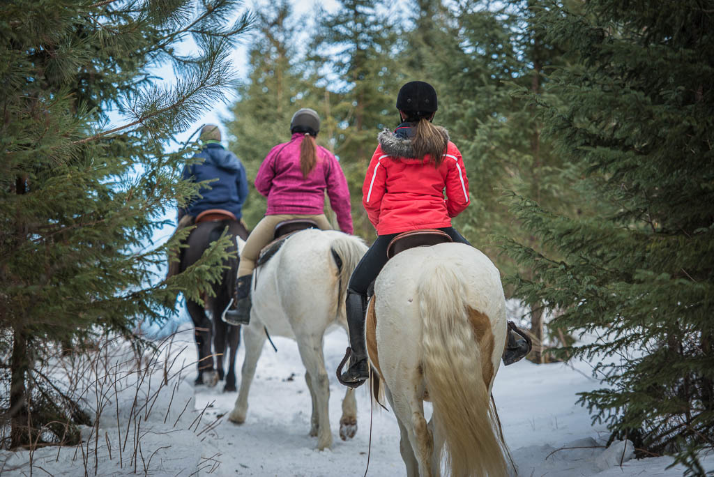 Plaisirs d&rsquo;hiver